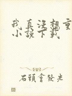 我真没想重生啊小说下载