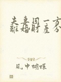 夫妻因一方出轨离婚财产分割