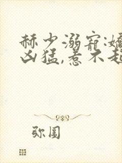 赫少溺宠:娇妻凶猛,惹不起