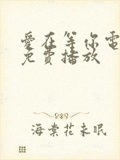 爱在等你电视剧免费播放