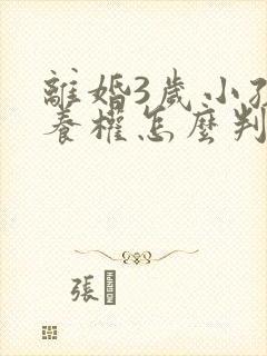 离婚3岁小孩抚养权怎么判定