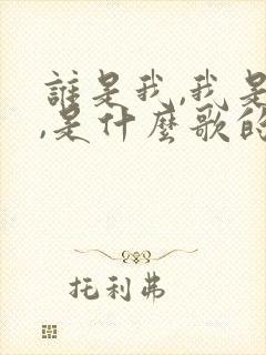 谁是我,我是谁,是什么歌的歌词