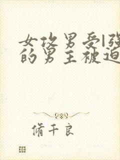 女攻男受|强大的男主被迫成m调教