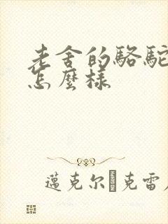 老舍的骆驼祥子怎么样