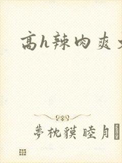 高h辣肉爽文