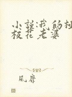 小说:我的极品校花老婆