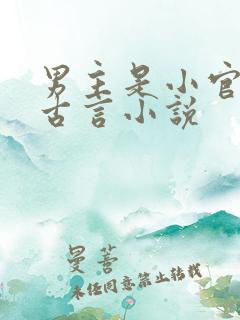 男主是小官吏的古言小说