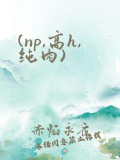 (np,高h,纯肉)