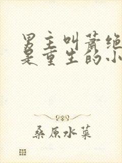 男主叫萧绝女主是重生的小说