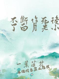 不断作死后我成了白月光小说阅读