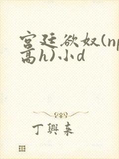 宫廷欲奴(np高h)小d