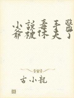 小说毒手医妃王爷被休夫了全文免费阅读