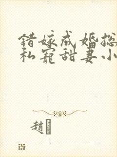 错嫁成婚总裁的私宠甜妻小说