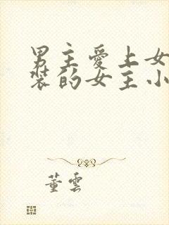 男主爱上女扮男装的女主小说