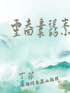 两夫妻从末世重生回来的小说