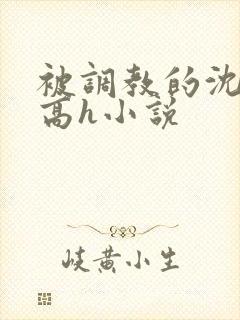 被调教的沈清清高h小说