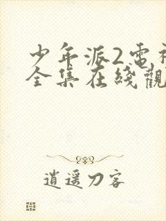 少年派2电视剧全集在线观看完整版