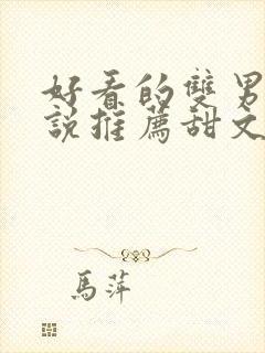 好看的双男主小说推荐甜文