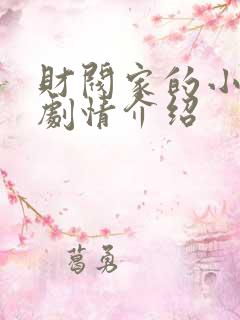 财阀家的小儿子剧情介绍