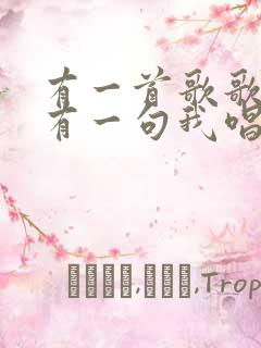 有一首歌歌词里有一句我唱着这首歌