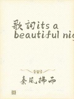 歌词its a beautiful night