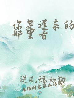 你是迟来的欢喜哪里看