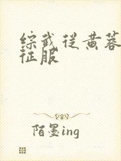 综武从黄蓉开始征服