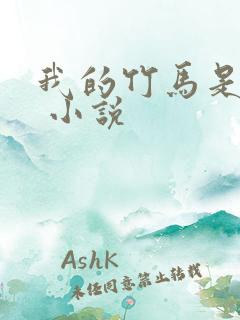 我的竹马是渣攻 小说