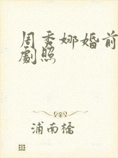 周秀娜婚前试爱剧照