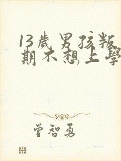 13岁男孩叛逆期不想上学怎么办