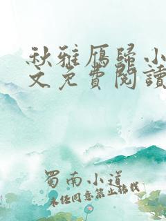 秋雅雁归小说全文免费阅读最新章节