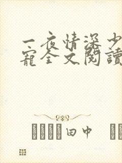 一夜情深少放肆宠全文阅读