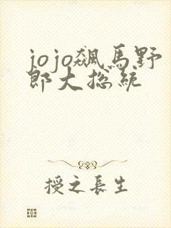 jojo飙马野郎大总统