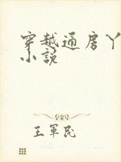 穿越通房丫鬟的小说