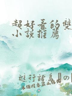 超好看的双男主小说推荐