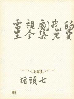 电视剧我的后半生全集免费观看