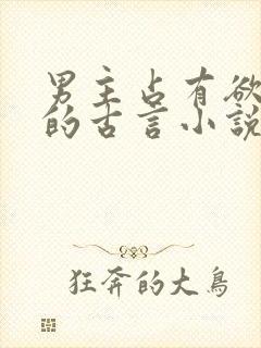 男主占有欲很强的古言小说