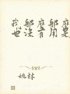 我那么那么爱你也没有用是什么歌