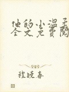 他的小温柔小说全文免费阅读