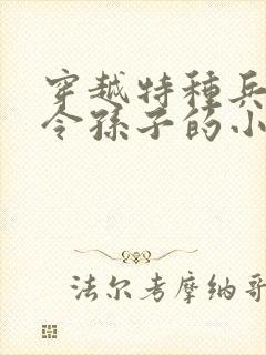 穿越特种兵成司令孙子的小说