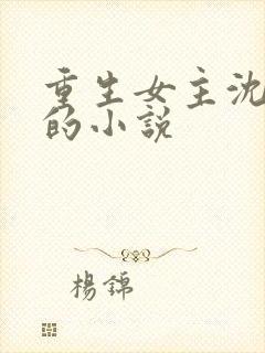 重生女主沈婉宁的小说