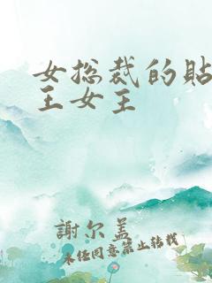 女总裁的贴身兵王女主