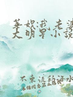 华娱:我老婆是大明星小说免费下载阅读