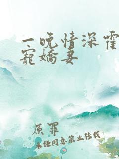 一晚情深霍少溺宠娇妻