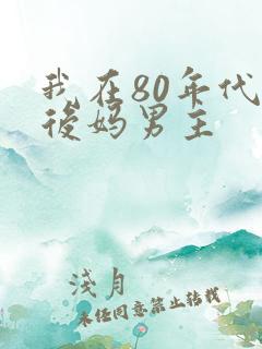 我在80年代当后妈男主