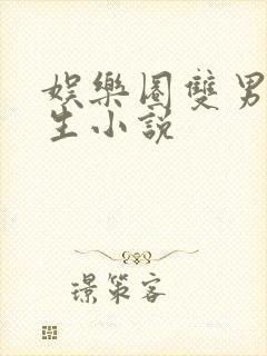 娱乐圈双男主重生小说