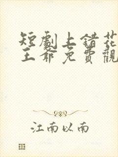 短剧上错花轿嫁王爷免费观看