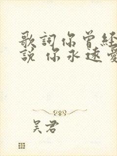 歌词你曾经对我说 你永远爱着我