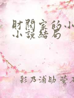 财阀家的小儿子小说结局