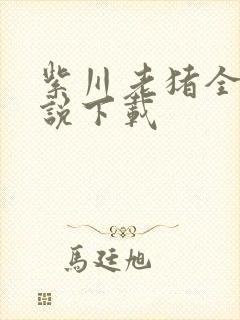 紫川老猪全本小说下载